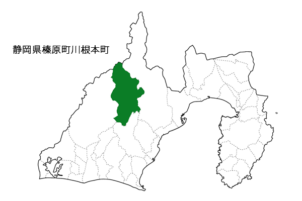 やぶきた品種 静岡 川根産