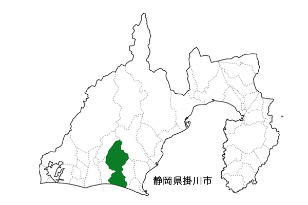 静岡 掛川産 深蒸し茶