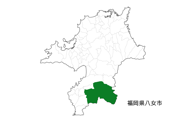 福岡 八女産 かぶせ茶